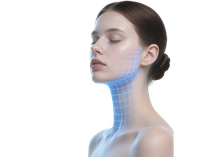 2025 Новый этап разработки